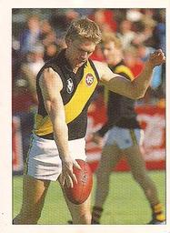 1990 Select AFL Stickers #200 Justin Pickering Front